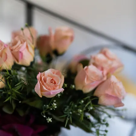 Private In The Historic Center