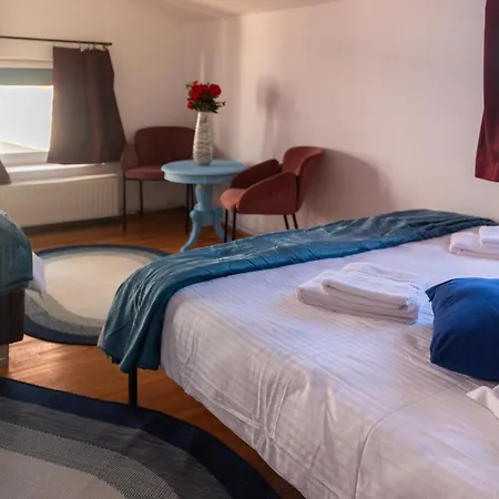 Villa Private In The Historic Center Cluj-Napoca