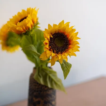 Private In The Historic Center Cluj-Napoca