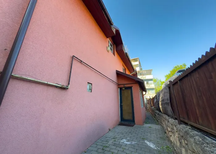 Private In The Historic Center * Κλουζ-Ναπόκα