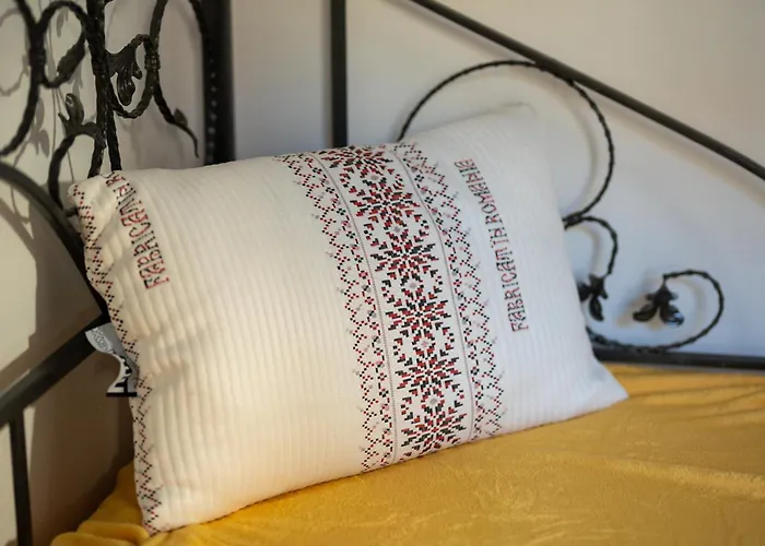 Private In The Historic Center Κλουζ-Ναπόκα