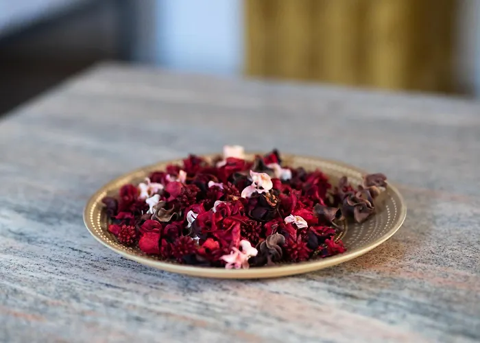 Private In The Historic Center * Κλουζ-Ναπόκα