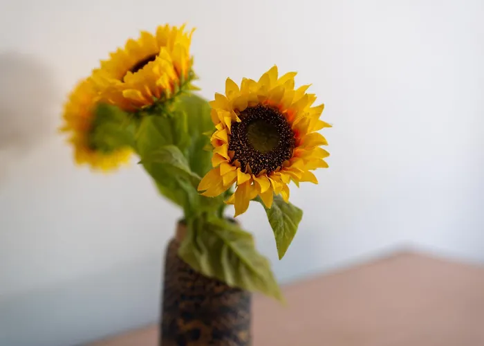 Private In The Historic Center Κλουζ-Ναπόκα