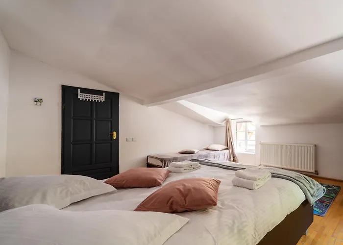 Private In The Historic Center * Κλουζ-Ναπόκα